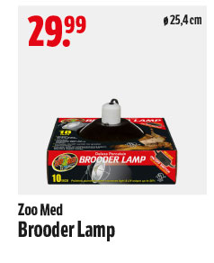 Zoo Med Brooder Lamp
