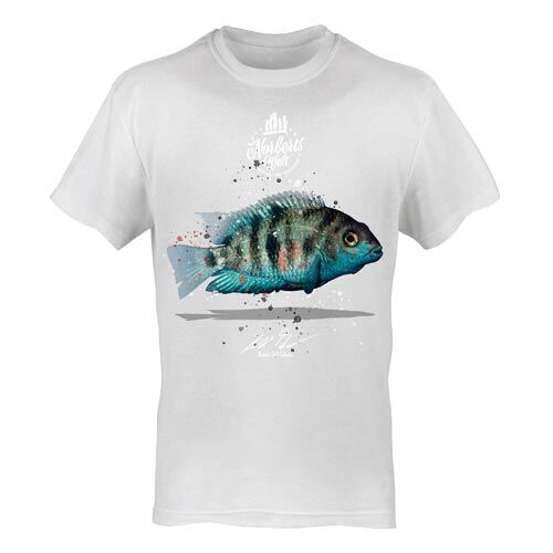 T-Shirt Rundhals Motiv Neonblauer Zebrabuntbarsch