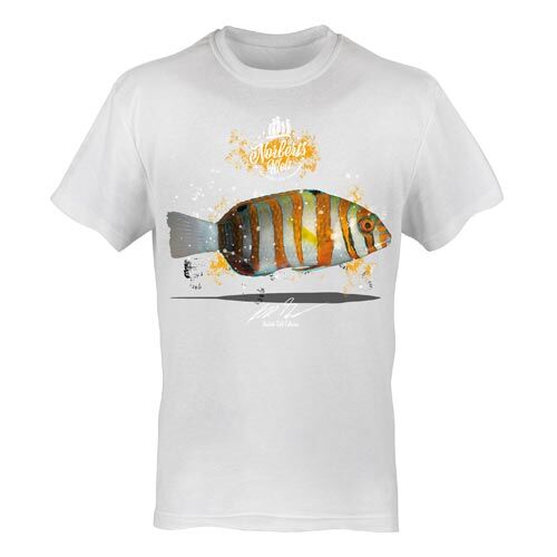 T-Shirt Rundhals Motiv Harlekin Lippfisch