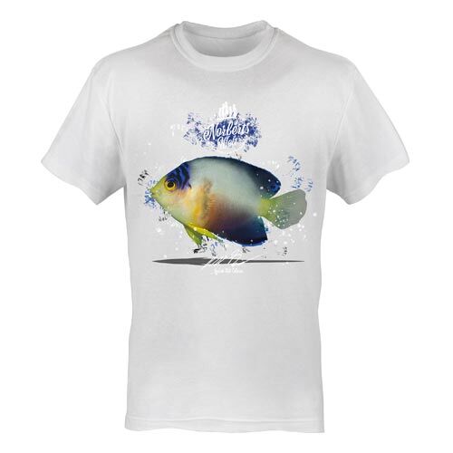 T-Shirt Rundhals Motiv Vielfarben Zwergkaiserfisch