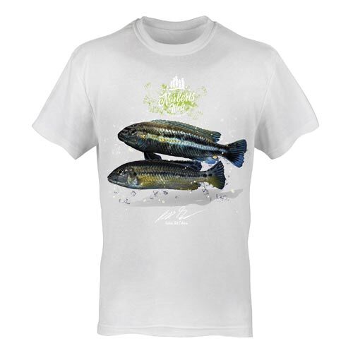  T-Shirt Rundhals Motiv Melanochromis auratus  