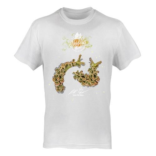 T-Shirt Rundhals Motiv Blumenkohl-Sackzungenschnecke