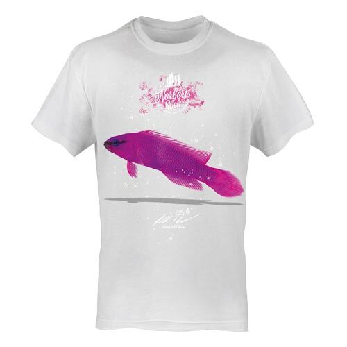T-Shirt Rundhals Motiv Pseudochromis fridmani
