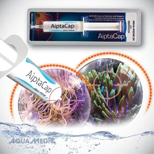 Aqua Medic AiptaCap 40 g Bild 2