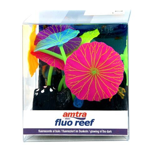 Amtra deko fluo reef Lotus color  9.8x7.5x11 cm