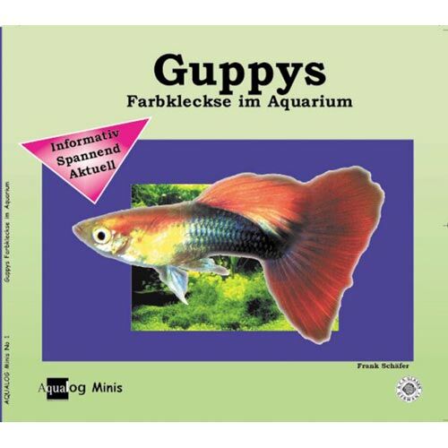 Aqualog Guppys Farbkleckse im Aquarium, Softcover, Gr. 21,2 x 20,1 cm