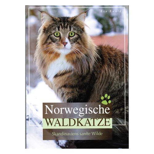 Cadmos: Norwegische Waldkatze