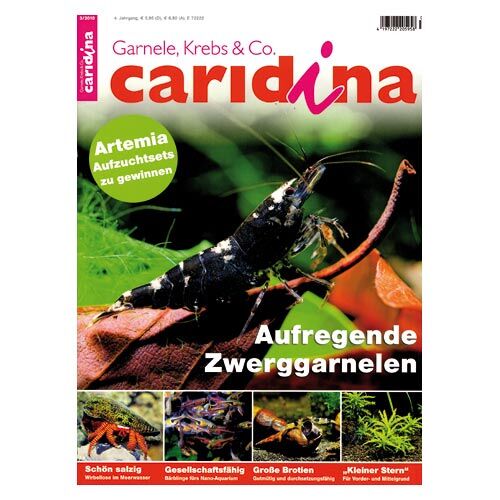 Dähne: Caridina (jeweils die aktuelle Ausgabe)