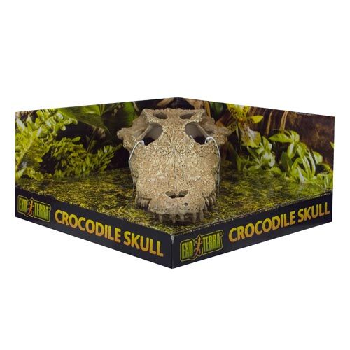 Exo Terra Crocodile Skull 