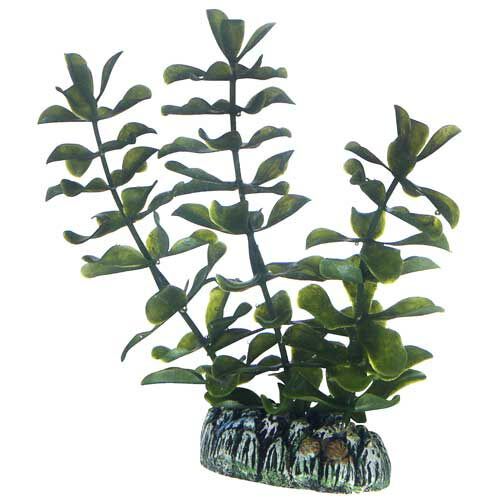 Hobby Kunstpflanze Bacopa  13 cm