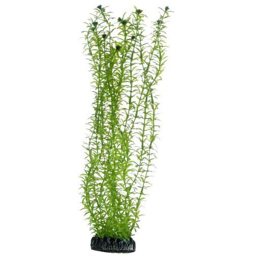 Hobby Kunstpflanze Lagarosiphon  34 cm