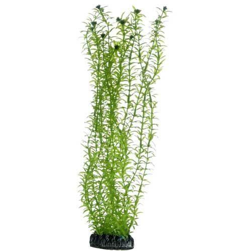 Hobby Lagarosiphon Kunststoffpflanze  58cm