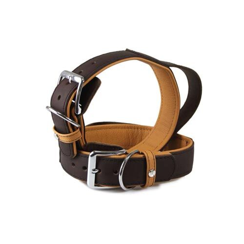 Das Lederband Hundehalsband Mocca / Caramel 40mm x 65cm mit Kehlkopfschutz und Griffschlaufe