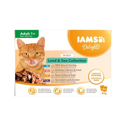 IAMS Delights Multibox Lan & Sea Collection in Gelee  12 x 85 g
