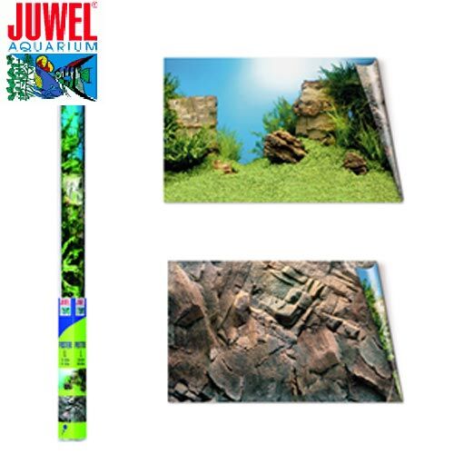 Juwel: Poster 1 L Rckwand  100x50cm