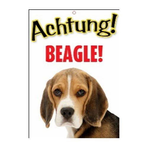Plenty Gifts: Warnschild Achtung! Beagle!