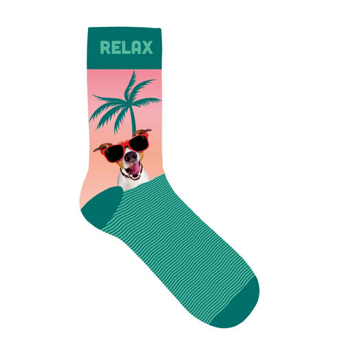 Plenty Gifts Socks Relax, Socken Gr. 36-41, rosa/grün, Hund mit Sonnenbrille Motiv
