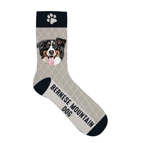 Plenty Gifts Pet Socks Bernese Mountain Dog, Socken mit Hundemotiv, grau, Größe: 36-41