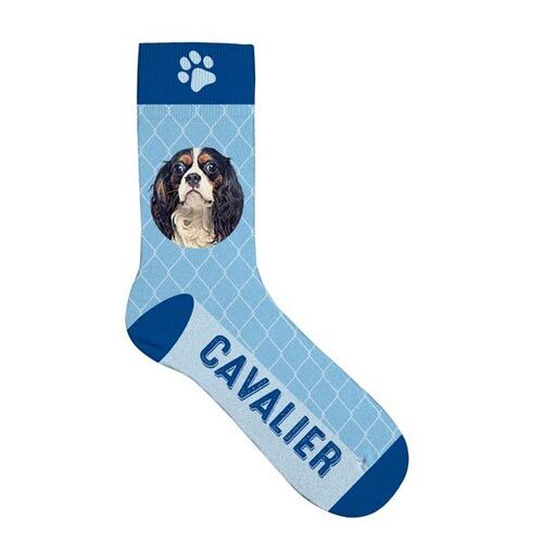 Plenty Gifts Pet Socks Cavalier, Socken mit Hundemotiv, blau, Größe: 42-45
