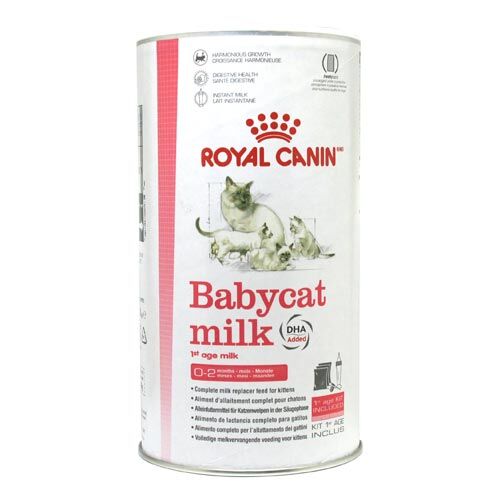 Spezialfutter für Katzen Royal Canin: Babycat-Milk  300g