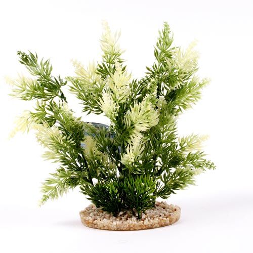 Sydeco: Hedge ca. 25cm grün/weiß 1 Stück