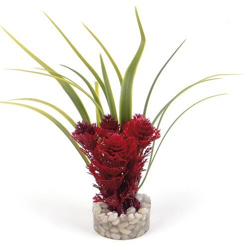 Sydeco: Nano Fiesta Flower Rot ca. 14 cm 1 Stück