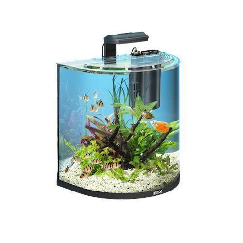 Tetra AquaArt LED Explorer Line Aquarium Set Crayfish 60 Liter  Weiß