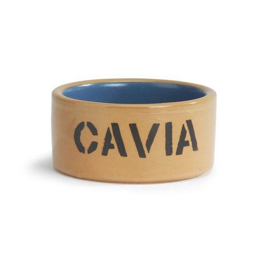 beeztees Keramiknapf braun/blau Cavia Ø 11,5cm