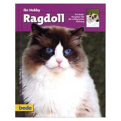 Katzenbuch Bede Verlag: Ihr Hobby Ragdoll