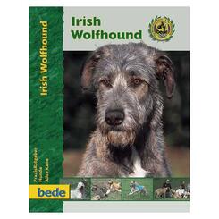 Bede: Irish Wolfhound
