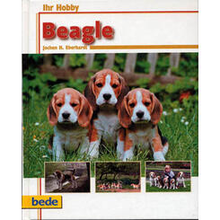 Bede: Beagle