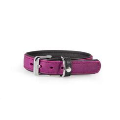Das Lederband Hundehalsband Vancouver Violet / Black B: 25 mm  Länge: 40 cm