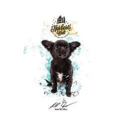 T-Shirt Rundhals Motiv Chihuahua