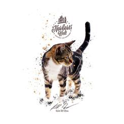 T-Shirt Rundhals Motiv Europäische Kurzhaar Katze
