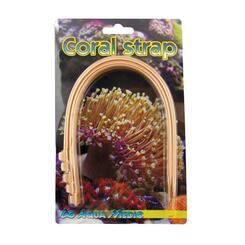 Aqua Medic: Coral Strap