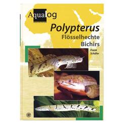 Aqualog: Polypterus - Flösselhechte
