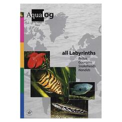 Aqualog: All Labyrinths - Alle Labyrinther