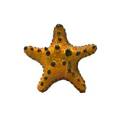 TMC Natureform Choc Chrip Starfish 6x6x1,5cm