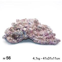 Dutch Reef Rock Nr. 57 Plate 2,8kg 33x17x16cm