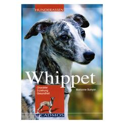 Cadmos: Whippet