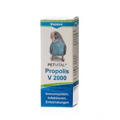 Canina Propolis V 2000 (Immunsystem, Infektionen, Entzündungen)  10g