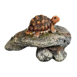 Nobby Aqua Ornaments Stein mit Schildkröte 9,5x9,5x6cm