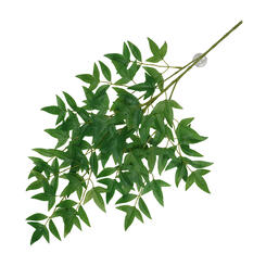 Terra Della Hängepflanze Nandina grün  65x35x1.5cm