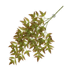 Terra Della Hängepflanze Nandina grün  65x35x1.5cm