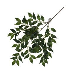Terra Della Hängepflanze Banyan grün  62x32x3cm