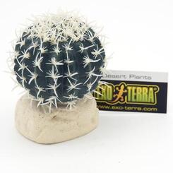 Exo Terra: Dessert Plants Barrel Cactus Small