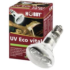 Hobby UV Eco vital  70W