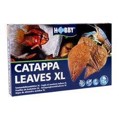 Hobby Catappa Leaves XL  12 Stück