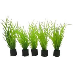 Hobby Plant mini Lilaeopis mini Kunststoffpflanzen  5 Stück