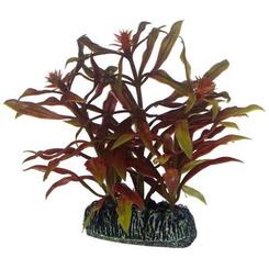 Hobby Kunststoffpflanze Nesaea  7 cm